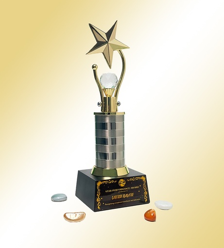 Wood & Metal Trophy WM 9101